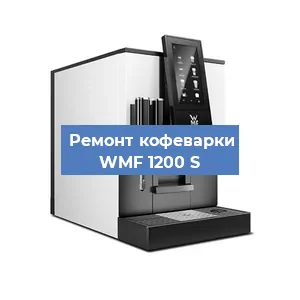 Чистка кофемашины WMF 1200 S от накипи в Челябинске